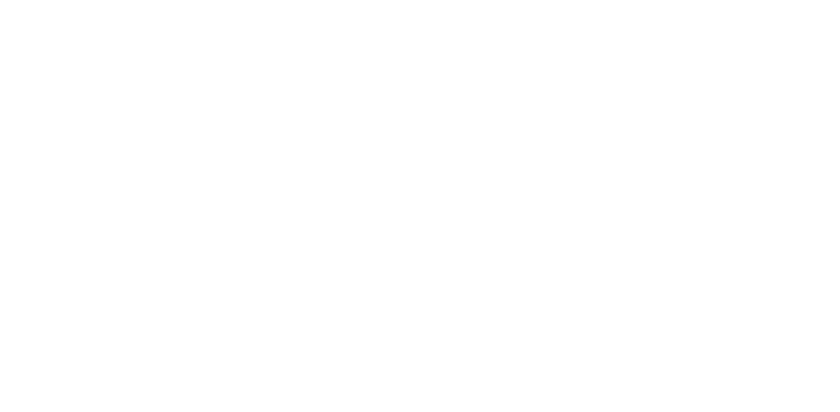 Wolt